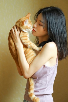 安家电视剧免费播放